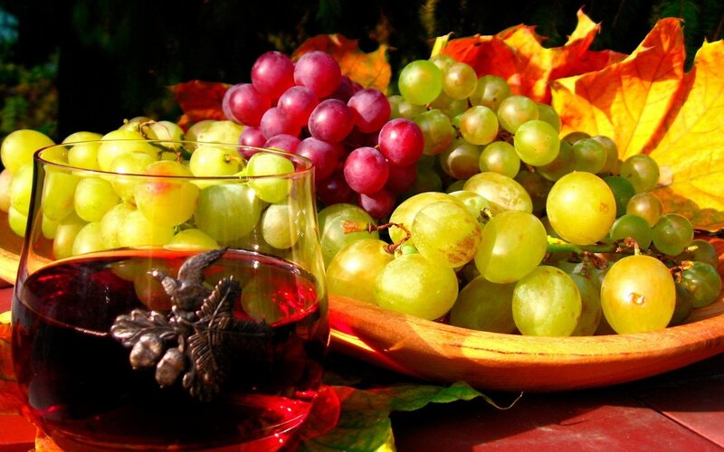 grapes and wine in autumn