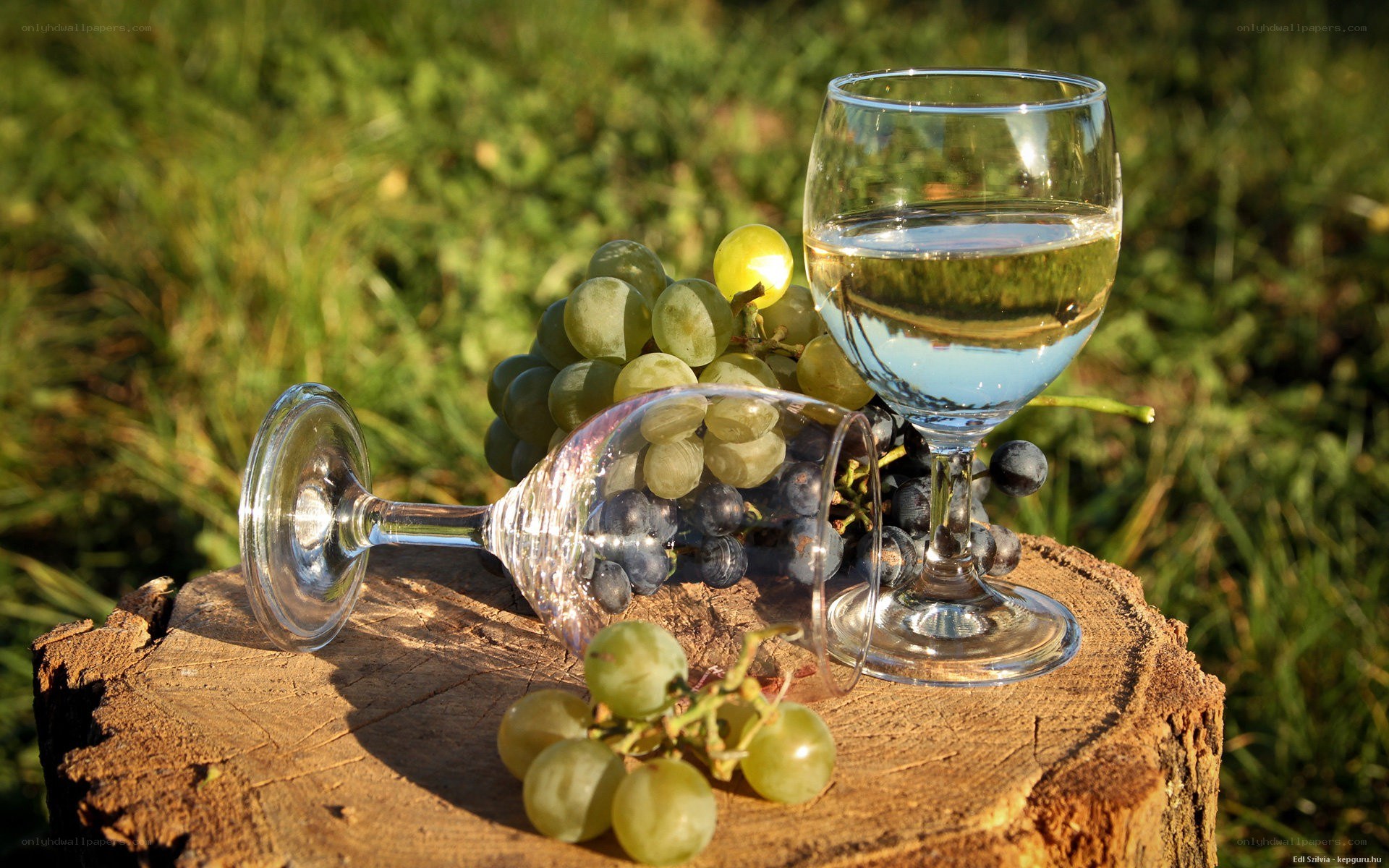 grapes and wine on a log