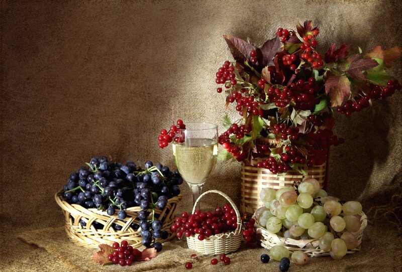 Grapes and Wine Still Life — Brown, Dramatic