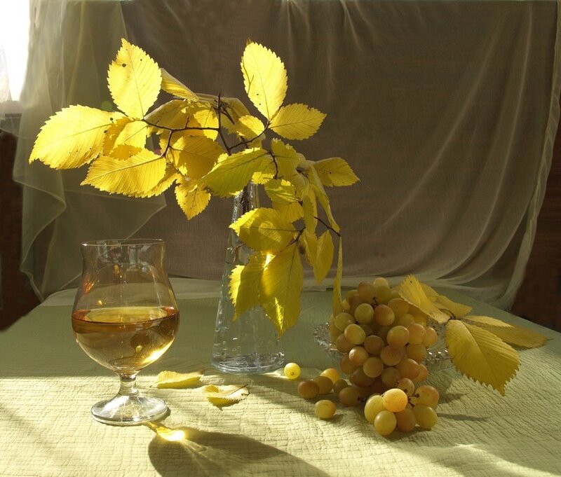 Grapes and Yellow Leaves