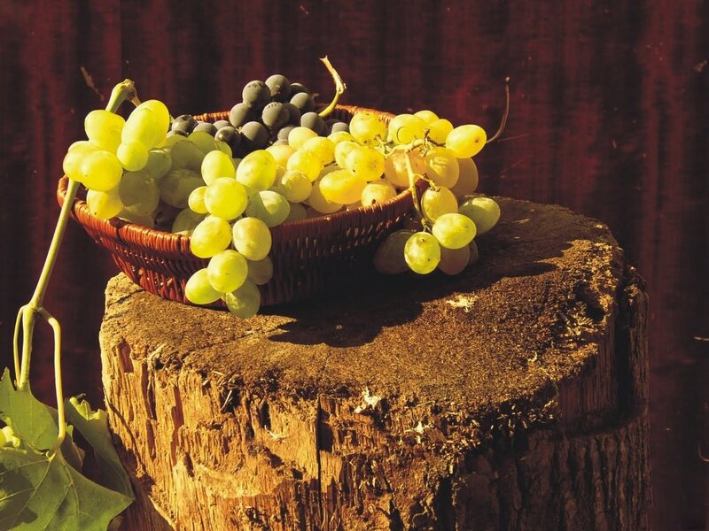 Grapes in a Basket — Brown, Dramatic