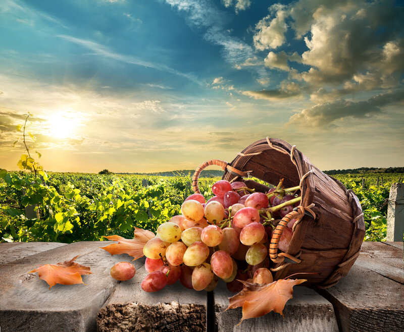 Grapes in a Basket — Green, Serene