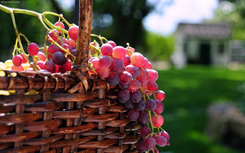 Grapes in a Basket — Red