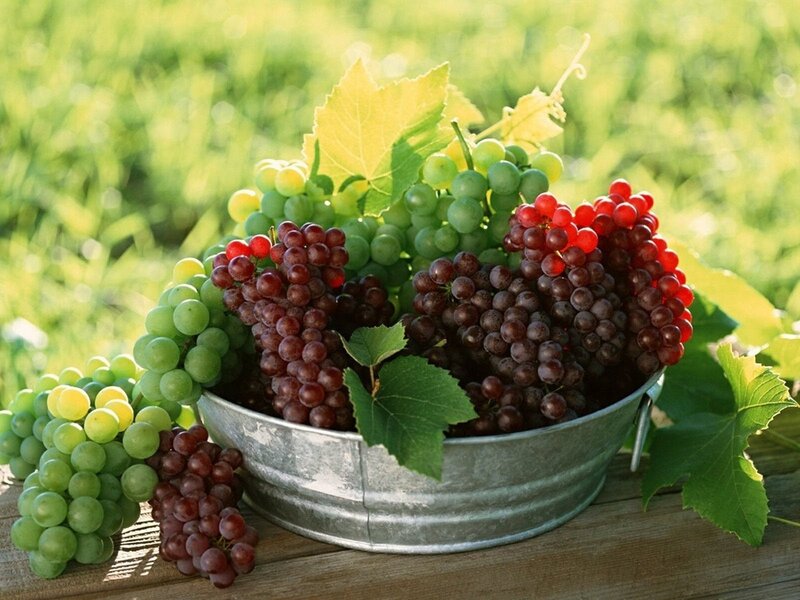 grapes in a metal bucket