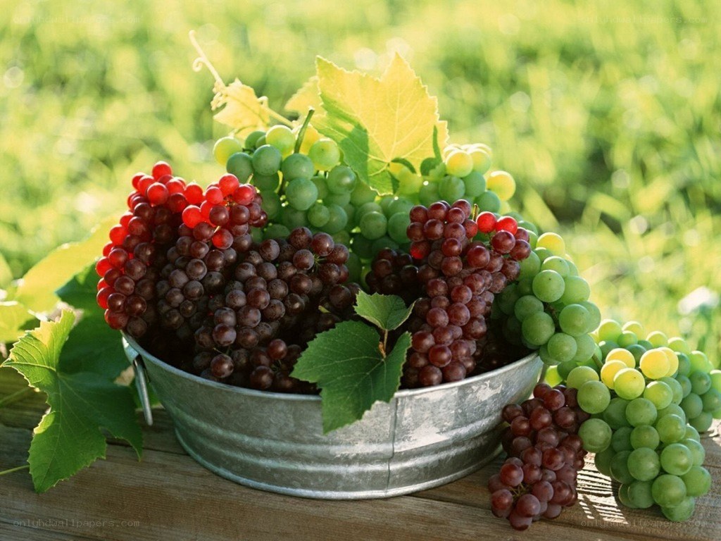 grapes in a metal bucket
