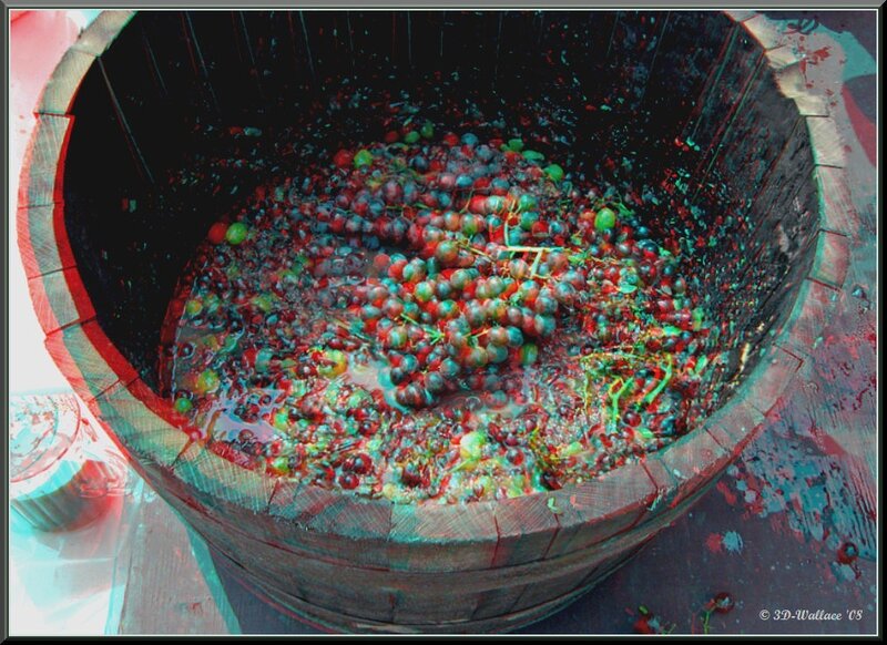Grapes in Wooden Barrel