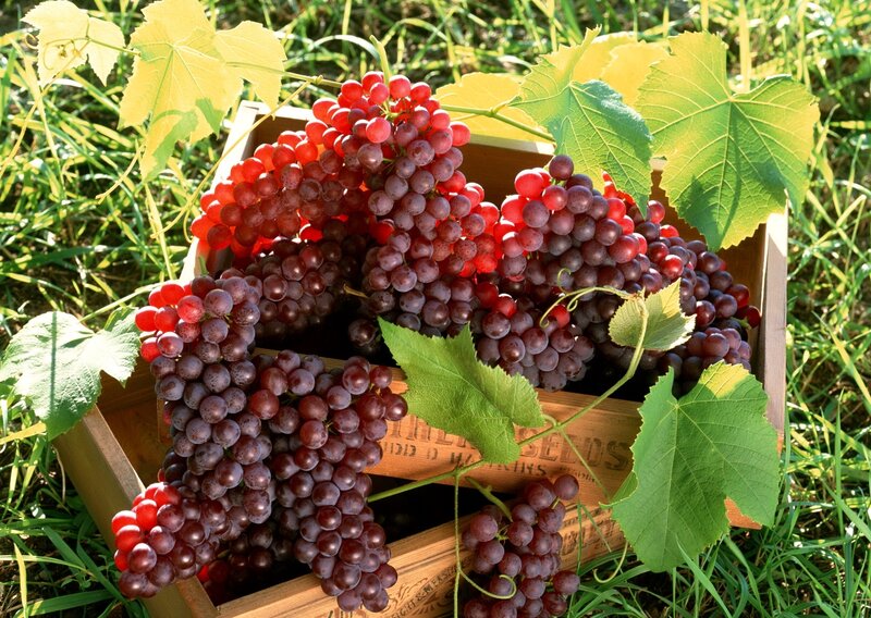 Grapes in Wooden Crate