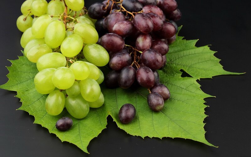 grapes on a leaf
