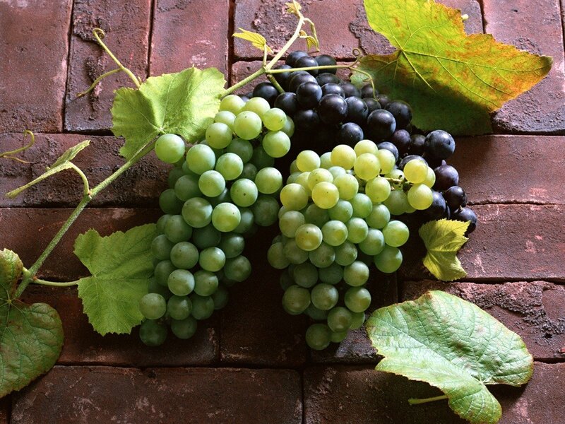 grapes on brick surface