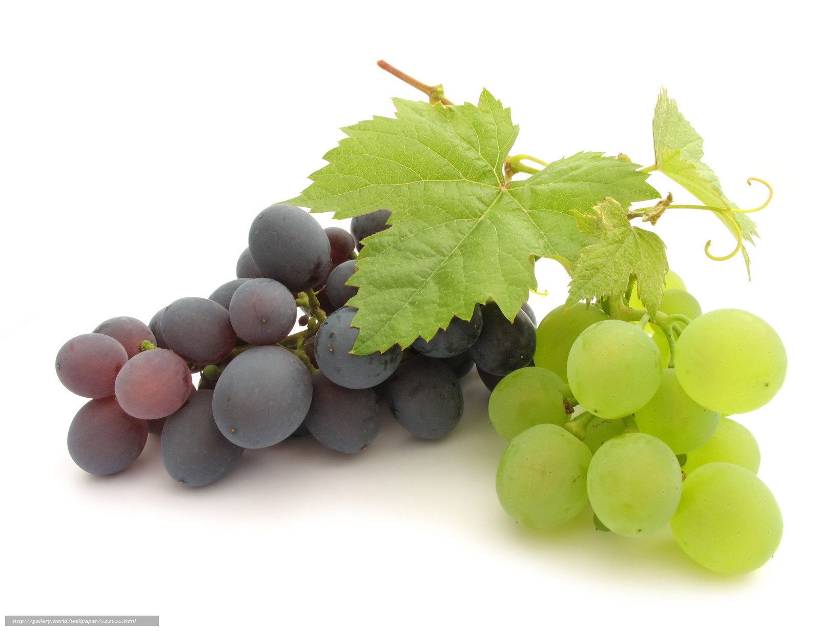 grapes with green leaves
