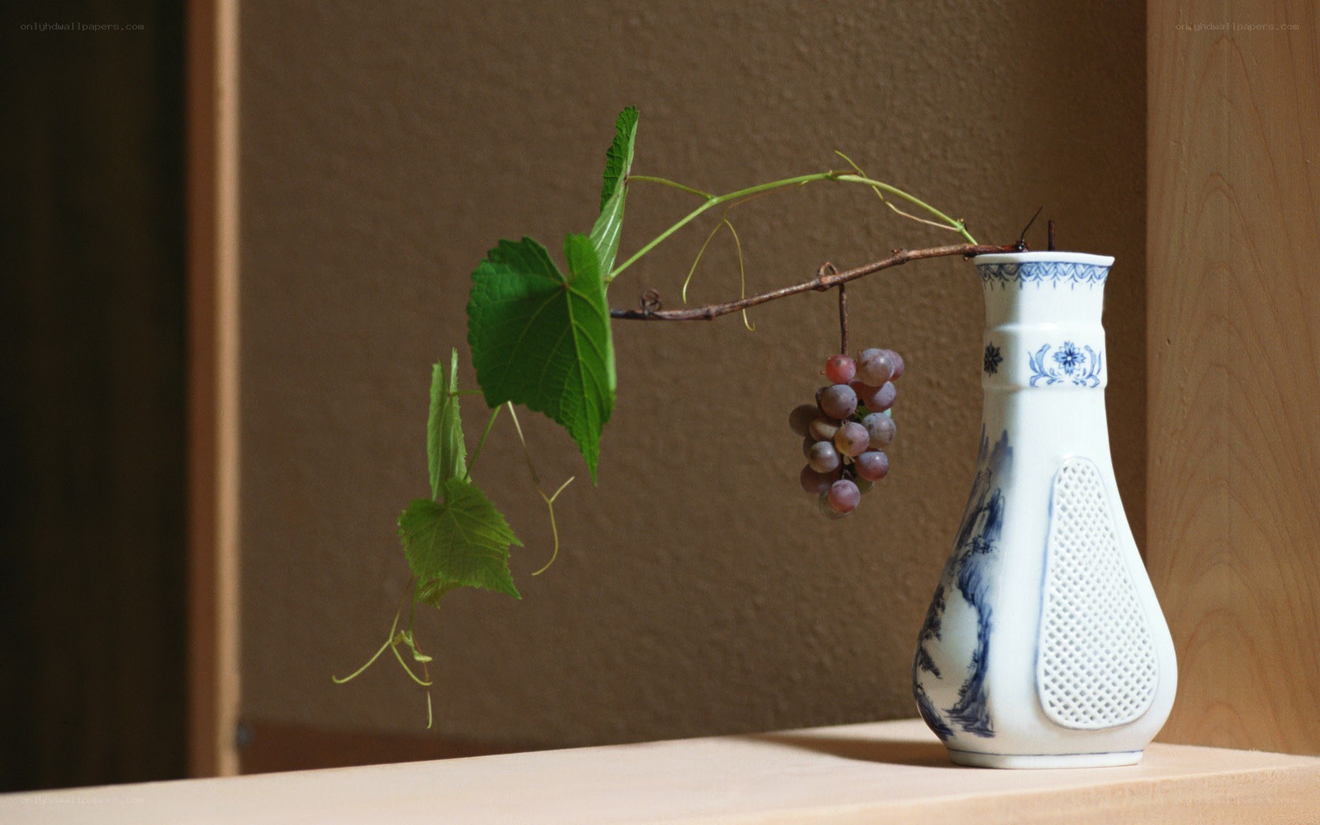 grapevine in a blue and white vase
