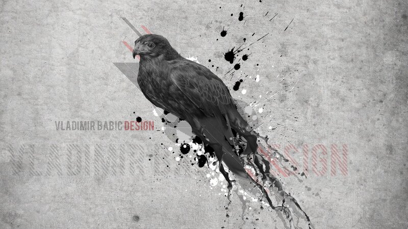 graphic design with bird illustration