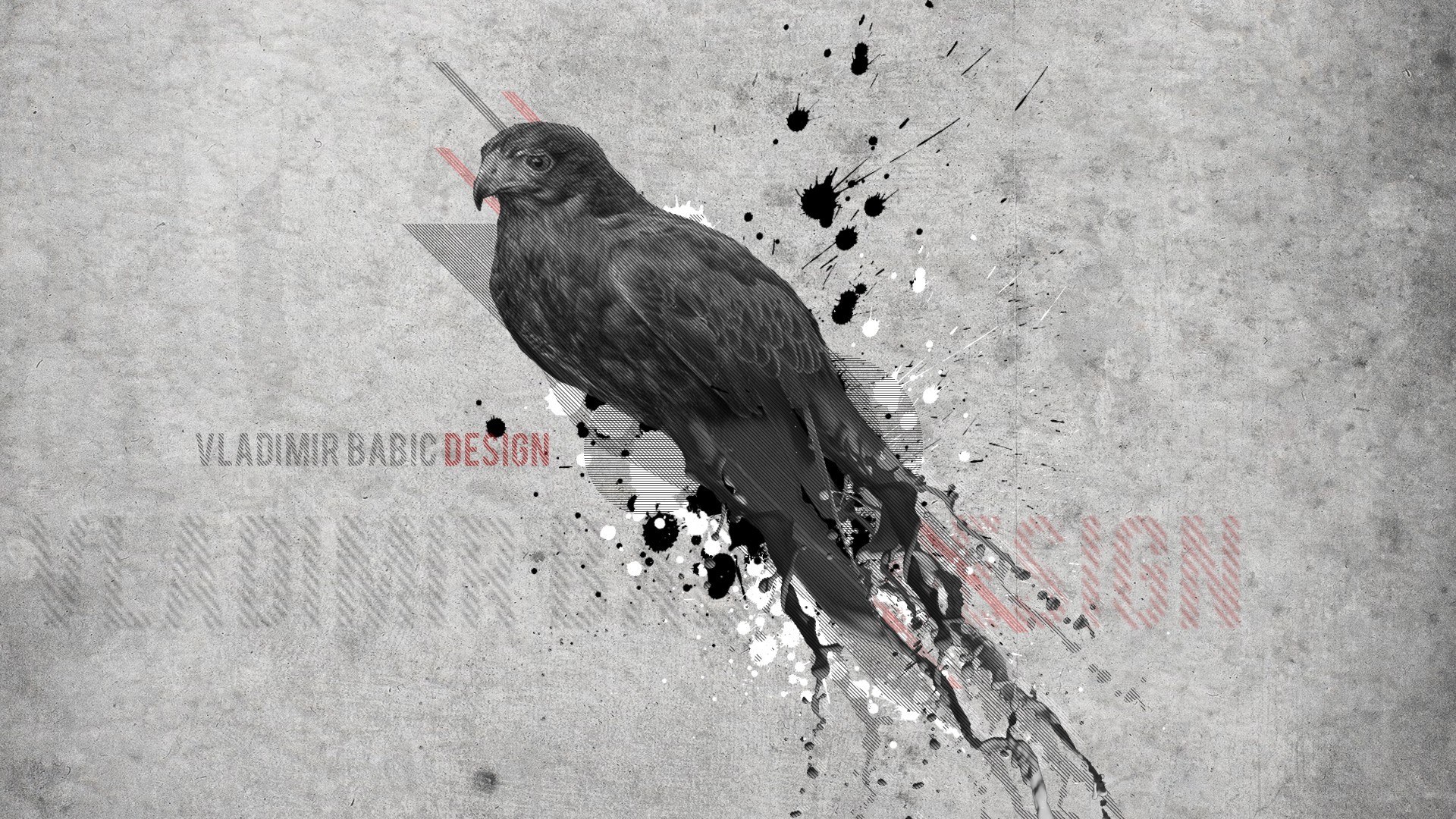 graphic design with bird illustration