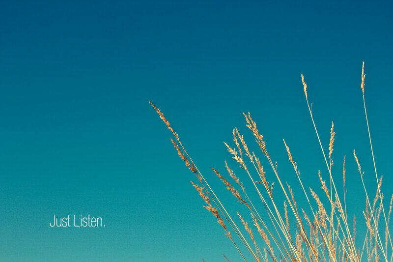 Grass against blue sky