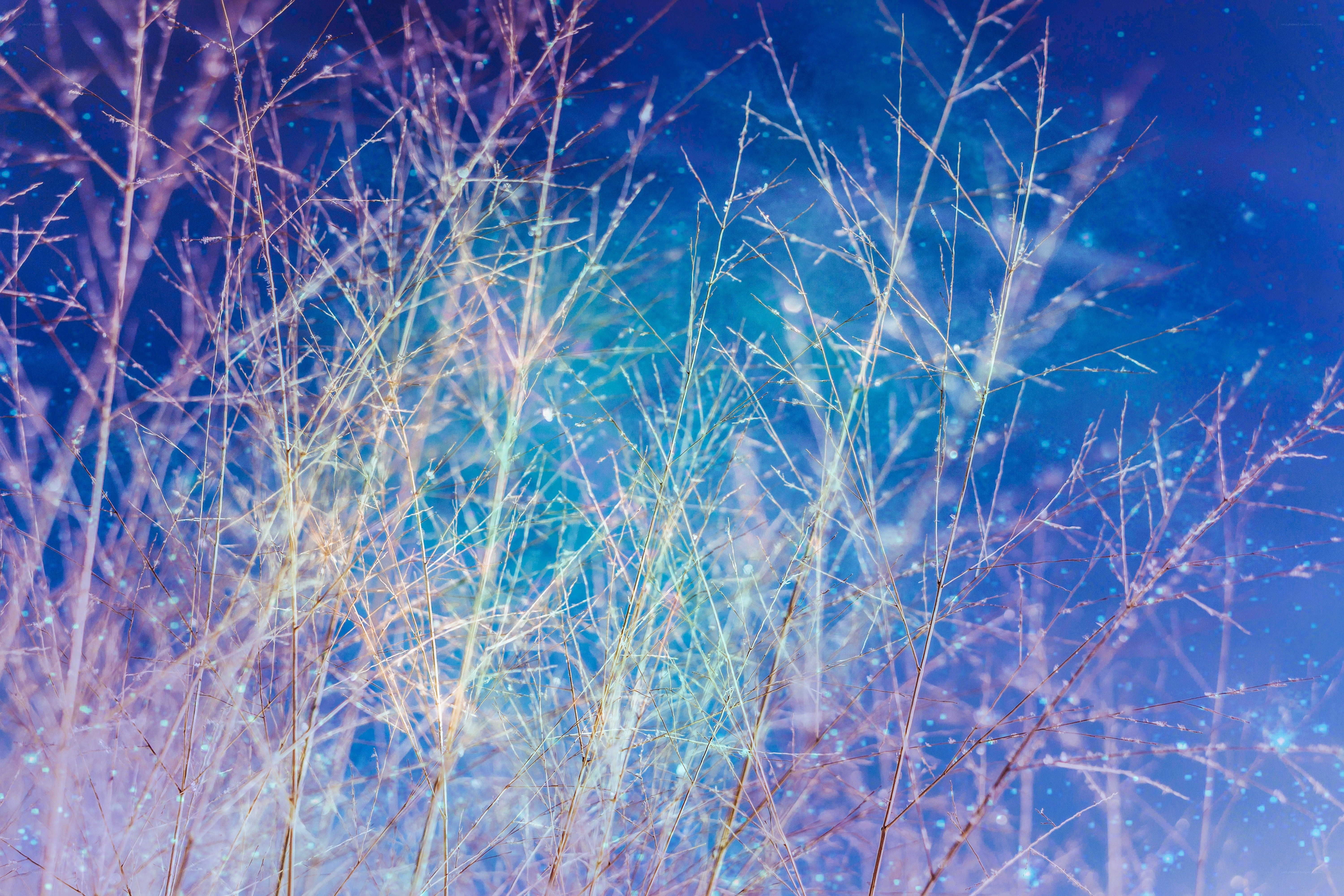 Grass against blue sky