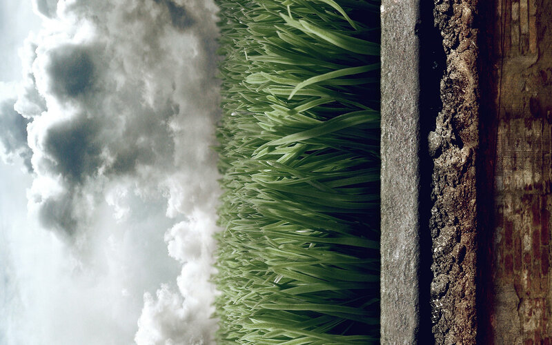 Grass and clouds in a surreal scene