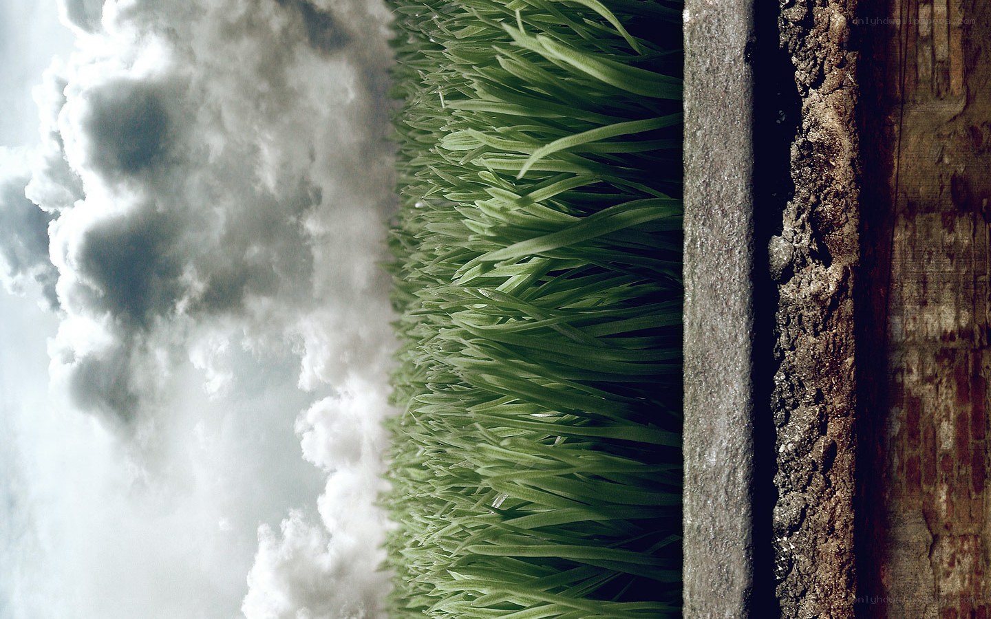 Grass and clouds in a surreal scene