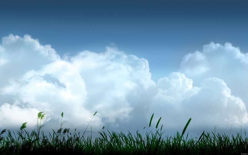 Grass and clouds landscape