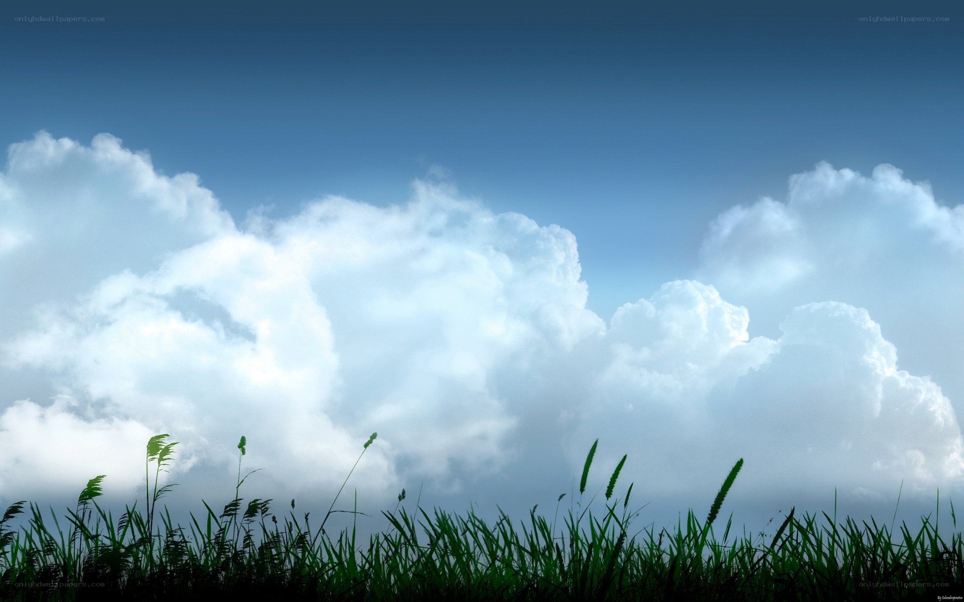 Grass and clouds landscape