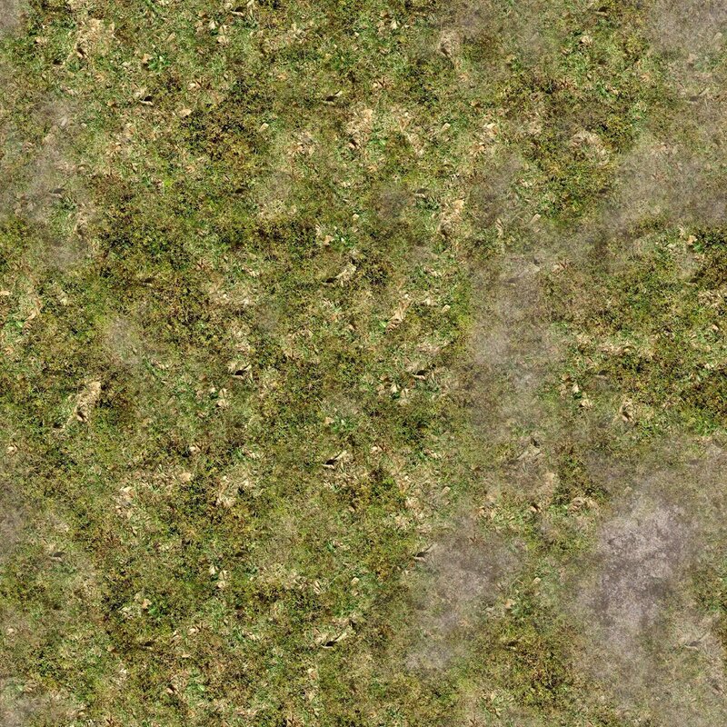 Grass and dried leaves texture
