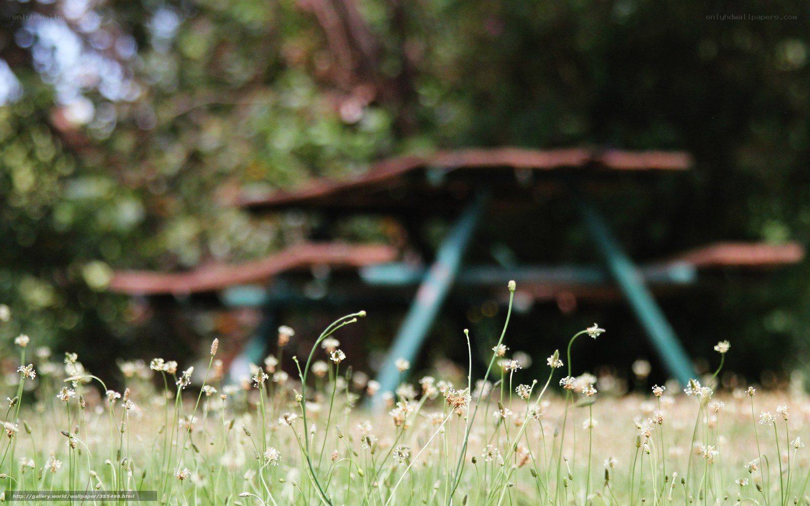Grass and picnic table in park