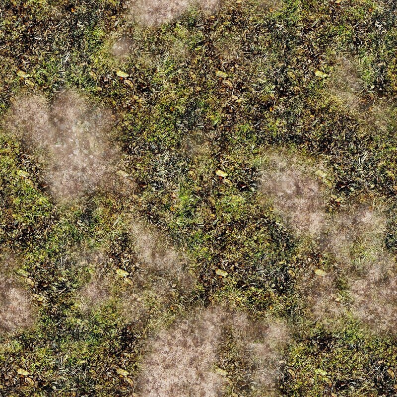 grass and soil texture