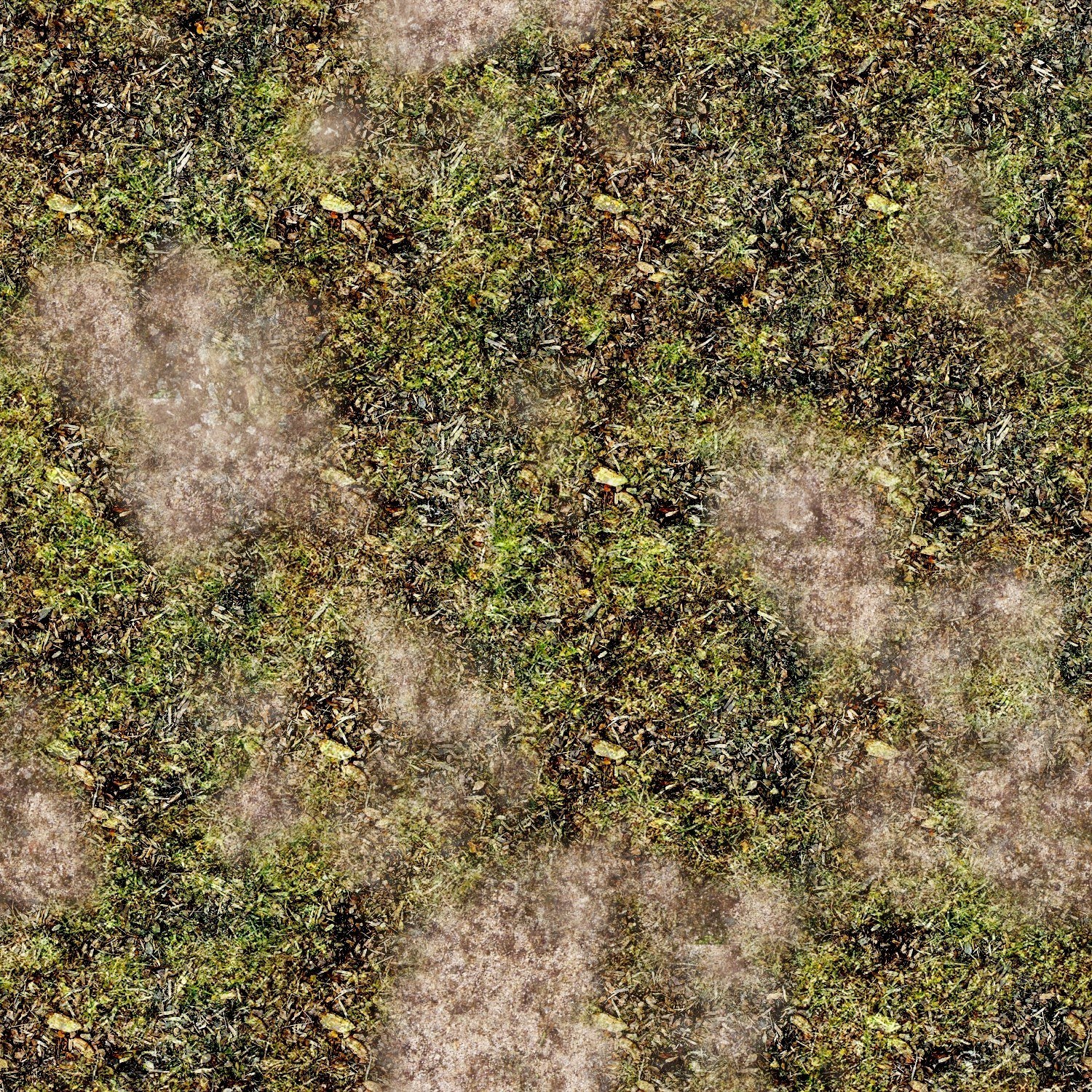 grass and soil texture
