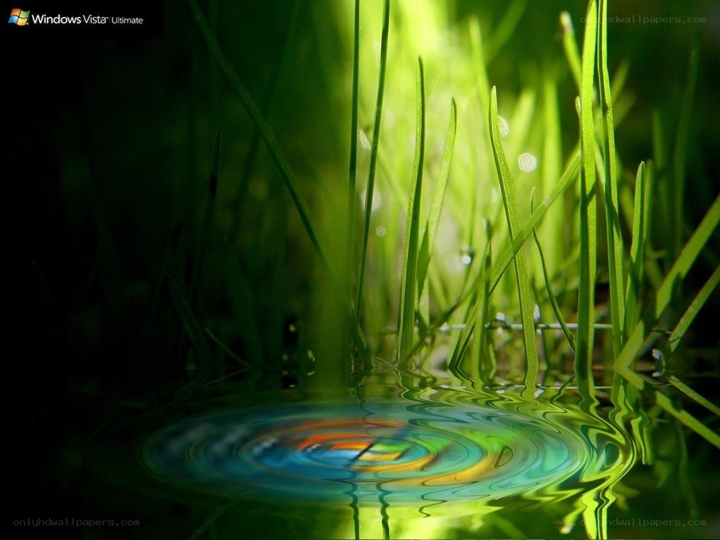 grass and water ripple