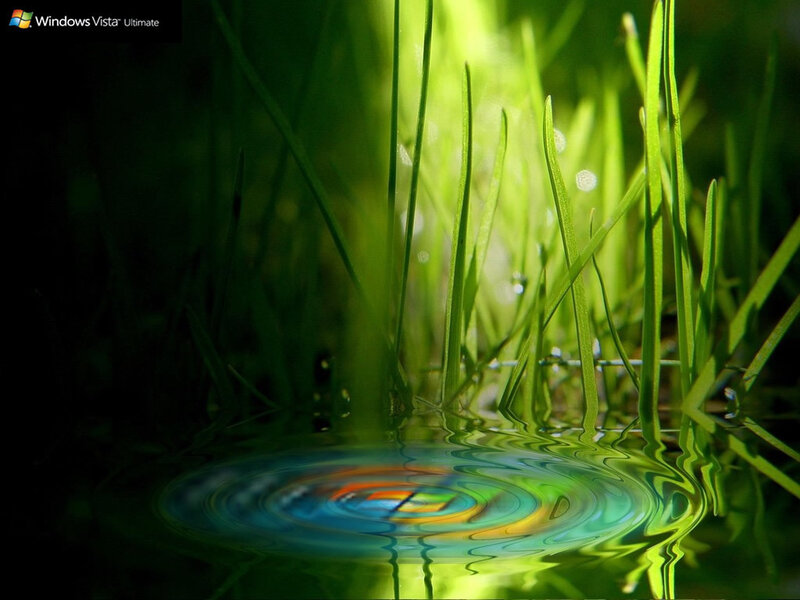 Grass and water ripples