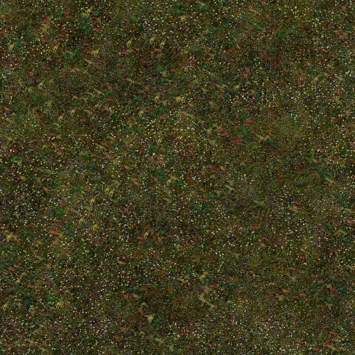 Grass and wildflowers texture