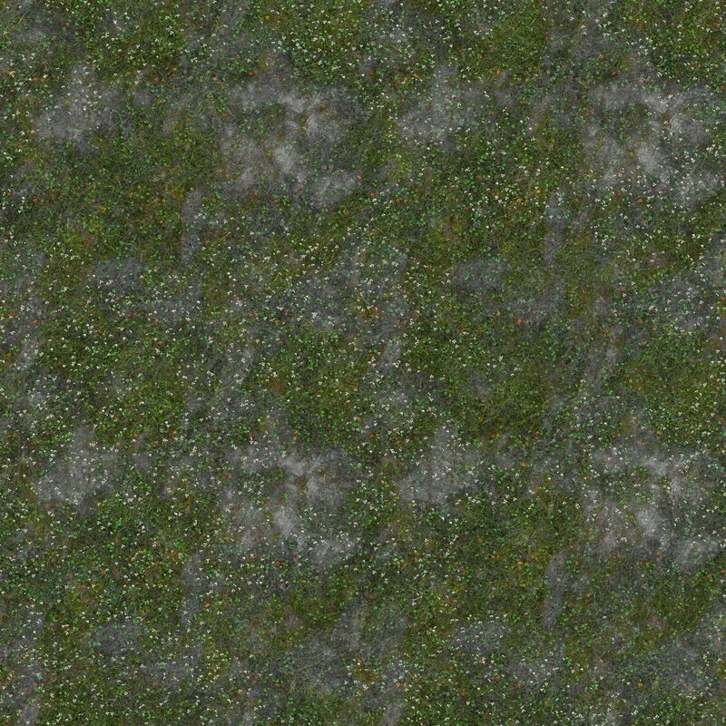 grass and wildflowers texture