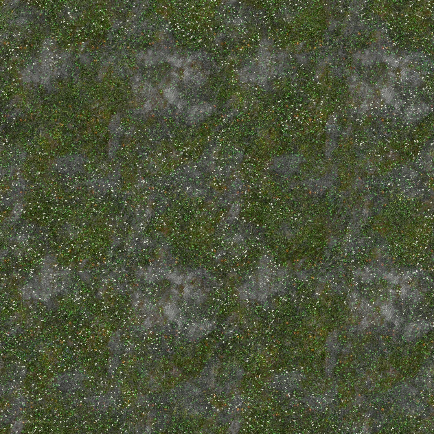 grass and wildflowers texture