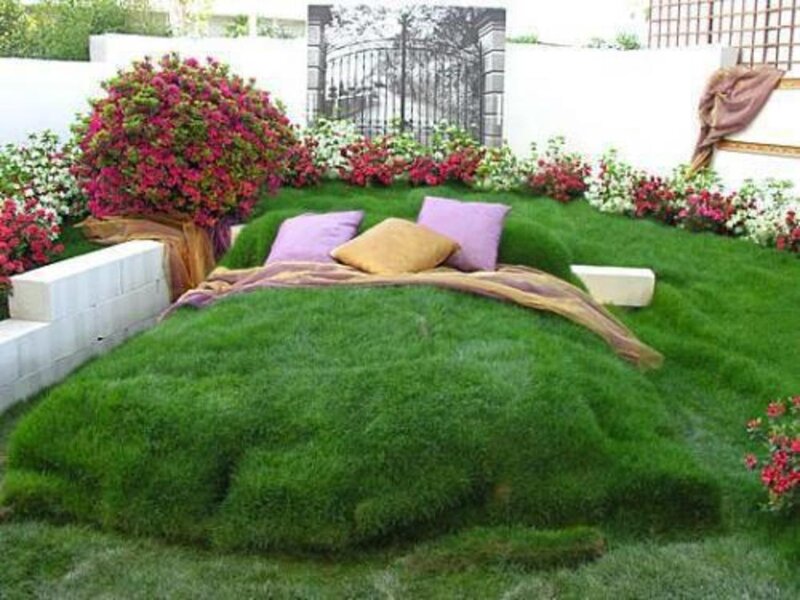 Grass Bed in Garden