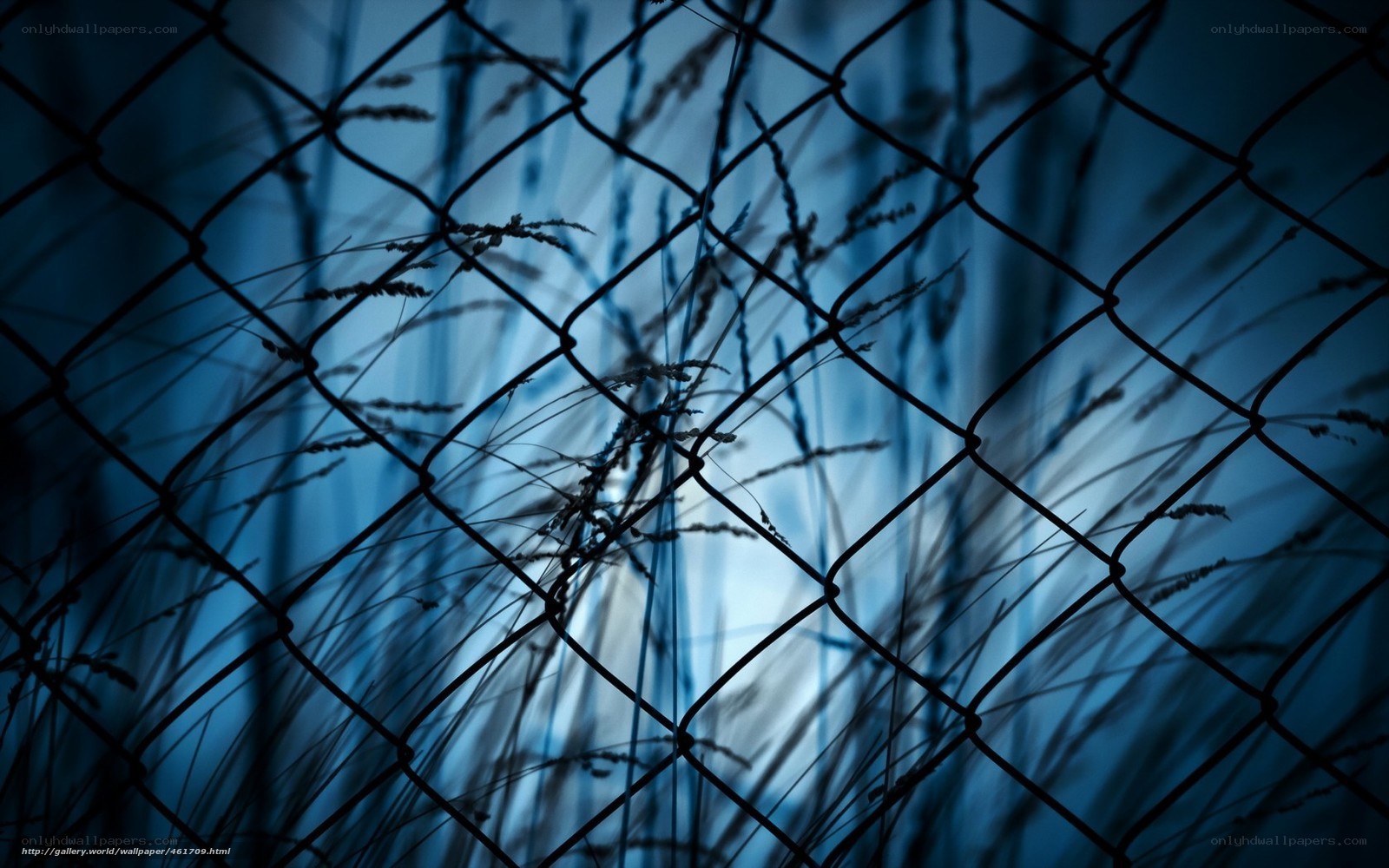 Grass behind a chain-link fence