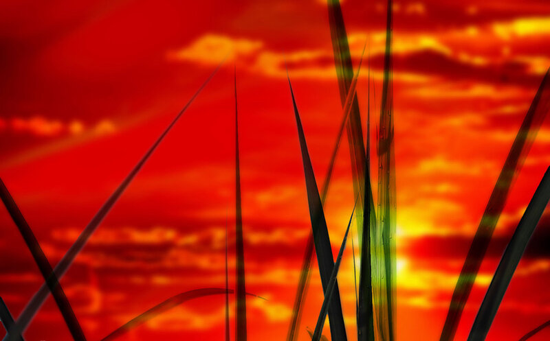 Grass Blades at Sunset — Red