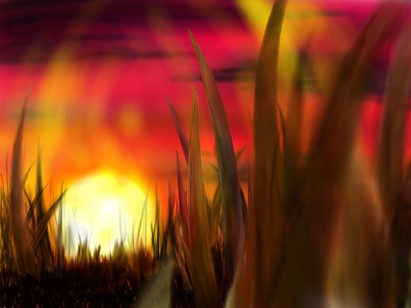 Grass Blades at Sunset