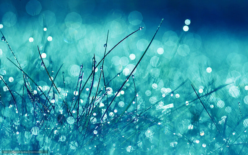 Grass Blades with Dew Drops — Blue, Serene