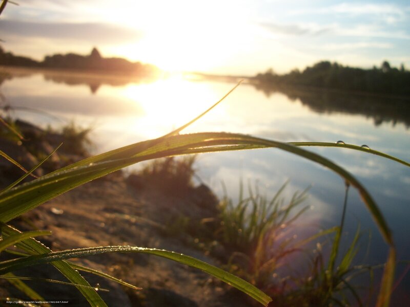 Grass Blades with Dew — Green, Serene, Sunrise