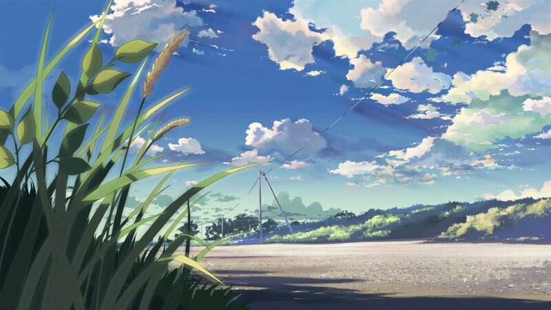 Grass by the roadside