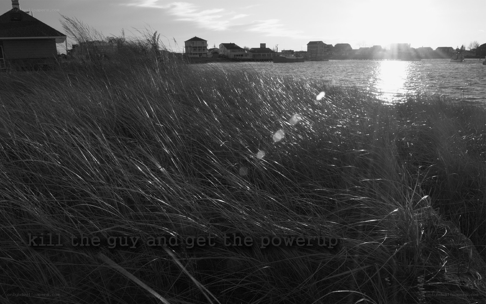 Grass by the water at sunset