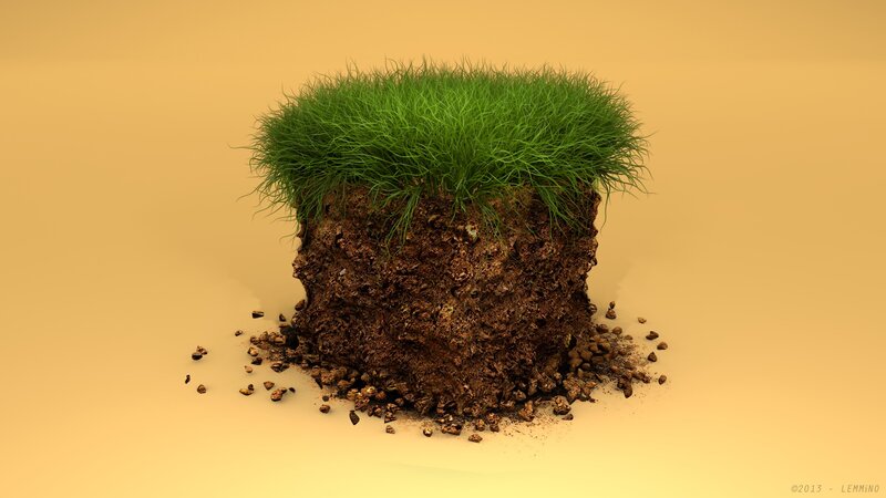 Grass Clump with Soil