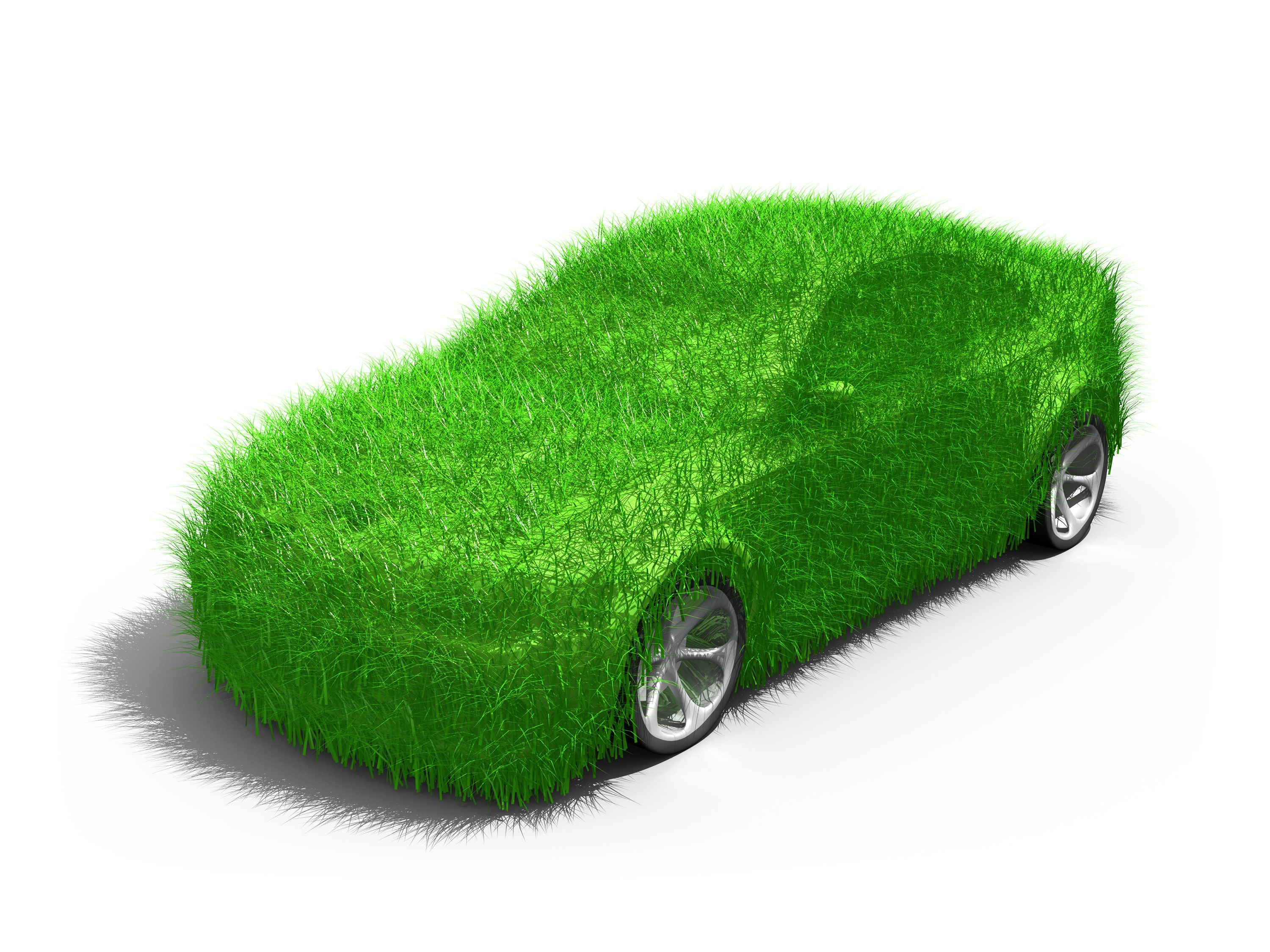 grass-covered car