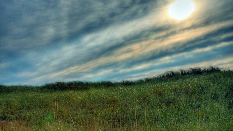 Grass-covered Dune — Green