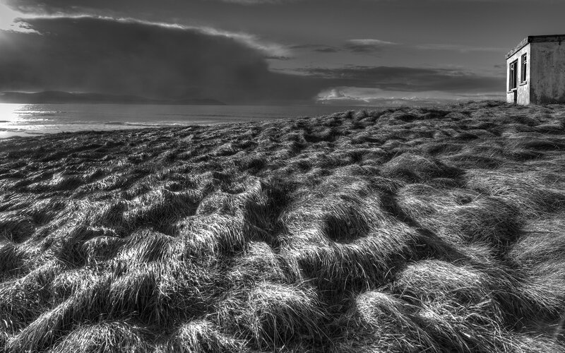 Grass-covered Dune