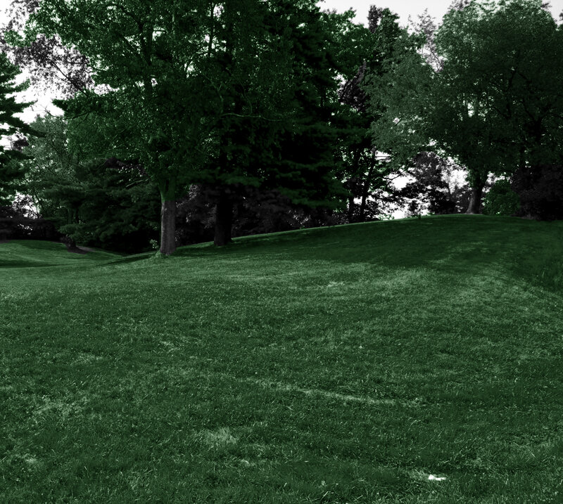 Grass-covered Hill with Trees
