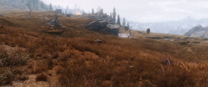 Grass-covered Hills — Brown