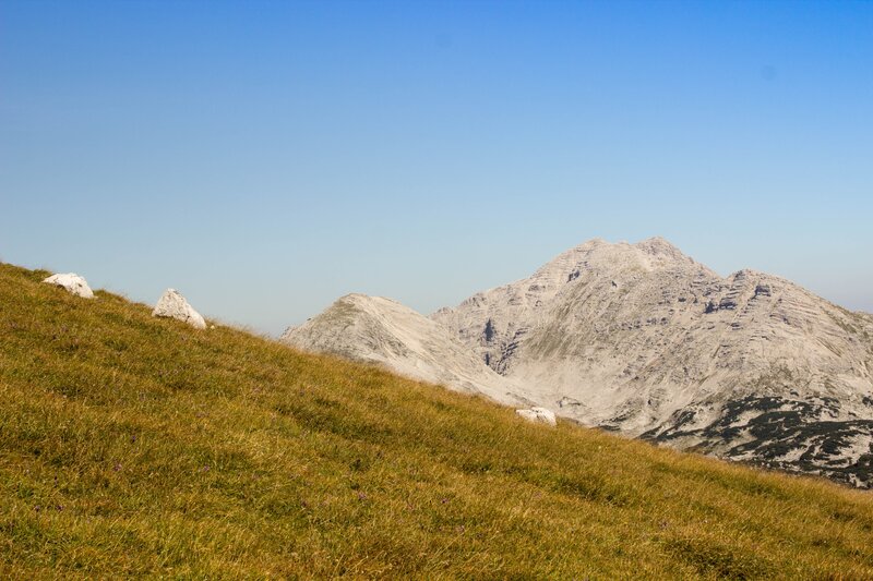 Grass-covered Hillside — Green, Serene
