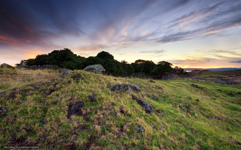 Grass-covered Hillside — Green