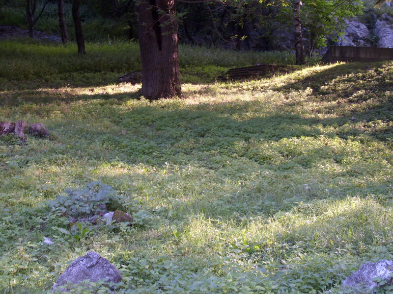 Grass-covered Hillside