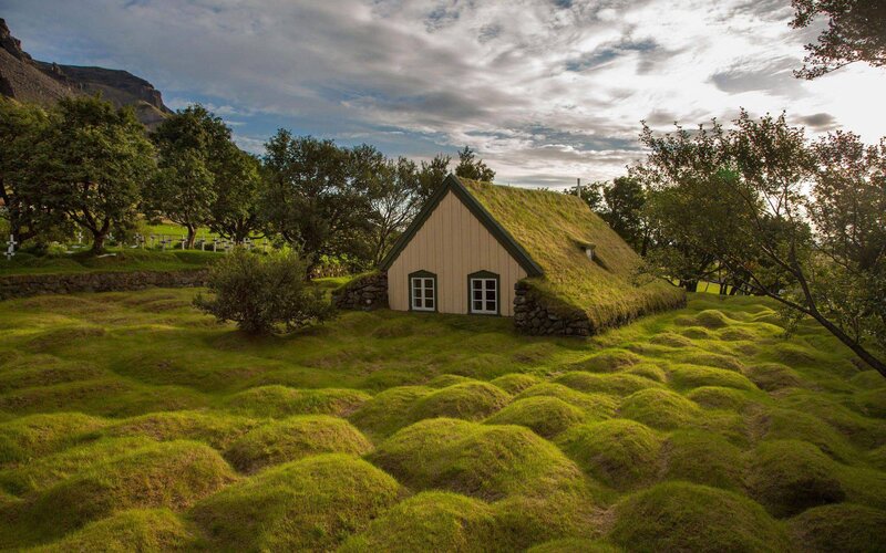 Grass-covered House — Green, Serene, Afternoon